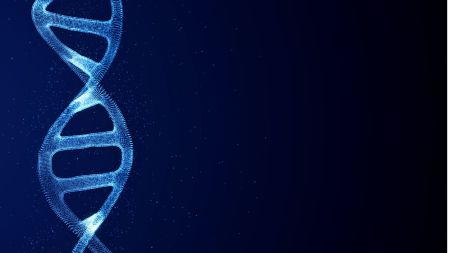 ADN et alignement a notre essence profonde