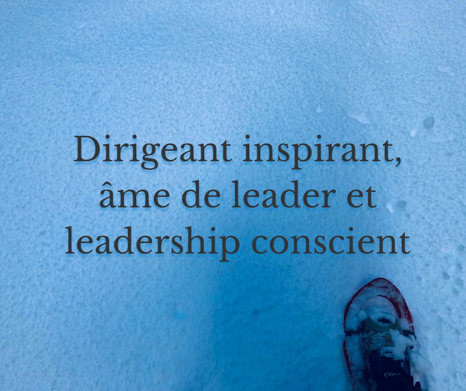 Dirigeant, âme de leader et leadership