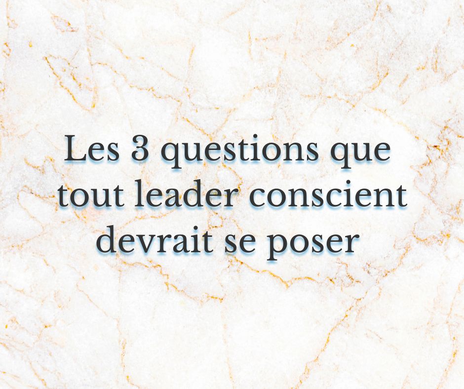 Les 3 questions que tout leader conscient devrait se poser